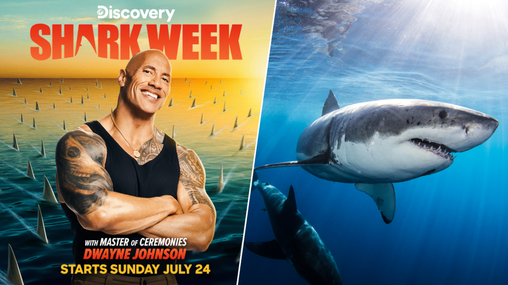 Watch Shark Week 2022 For Free Without Cable 