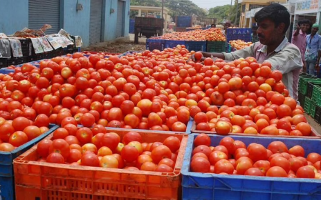 Price of Tomato